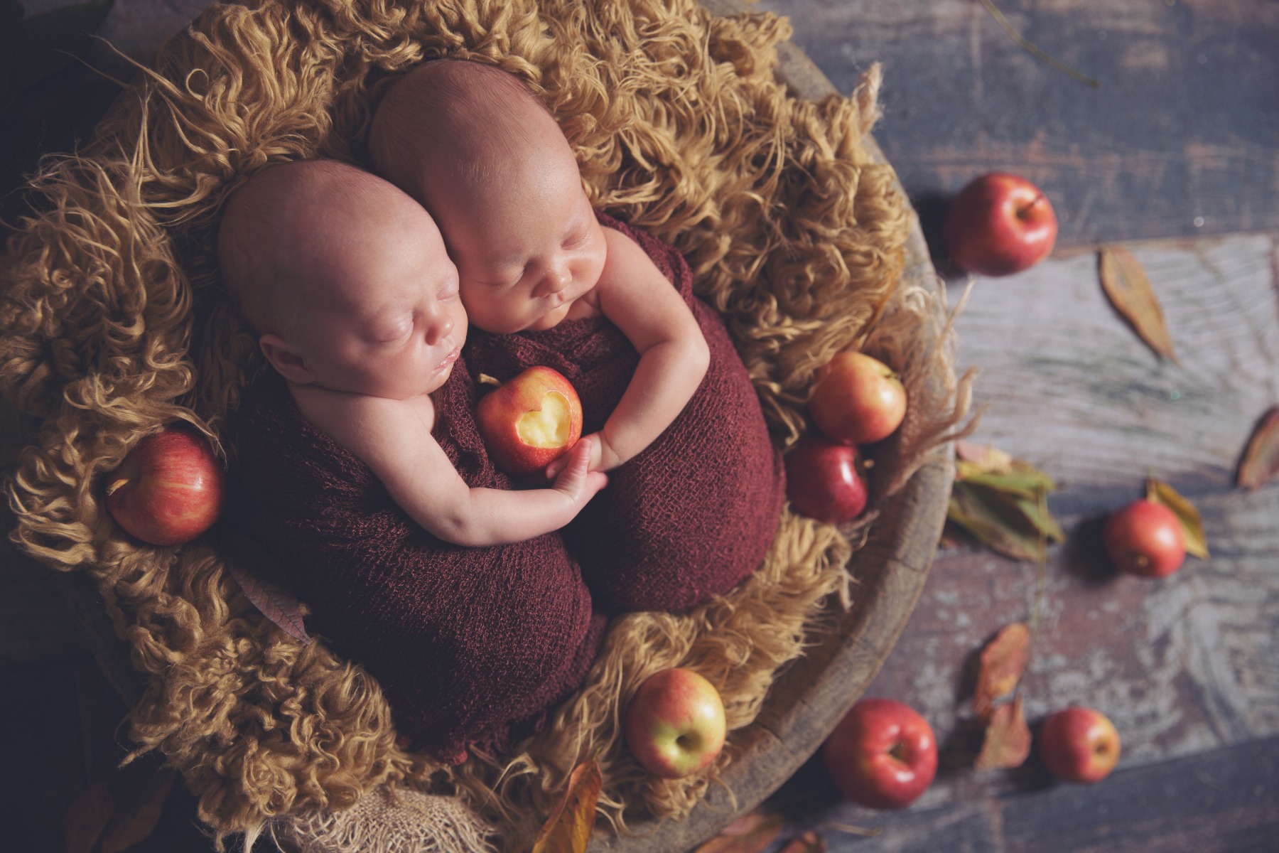 newborn twins in a basket surrounded by apples and a half eaten apple in the shape of a heart