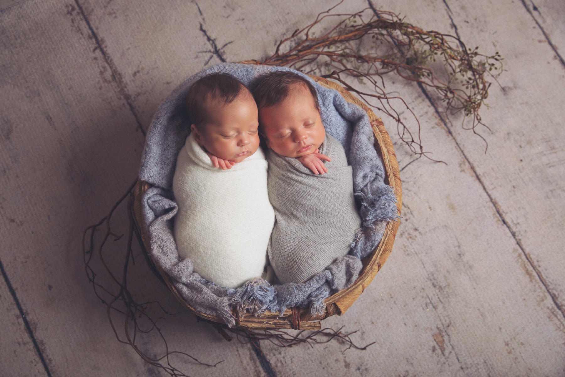 newborn twins in a basket with dried foliage