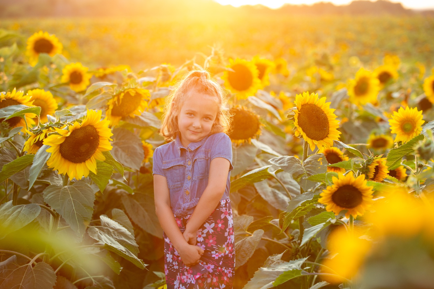 little girl in a sunflower field