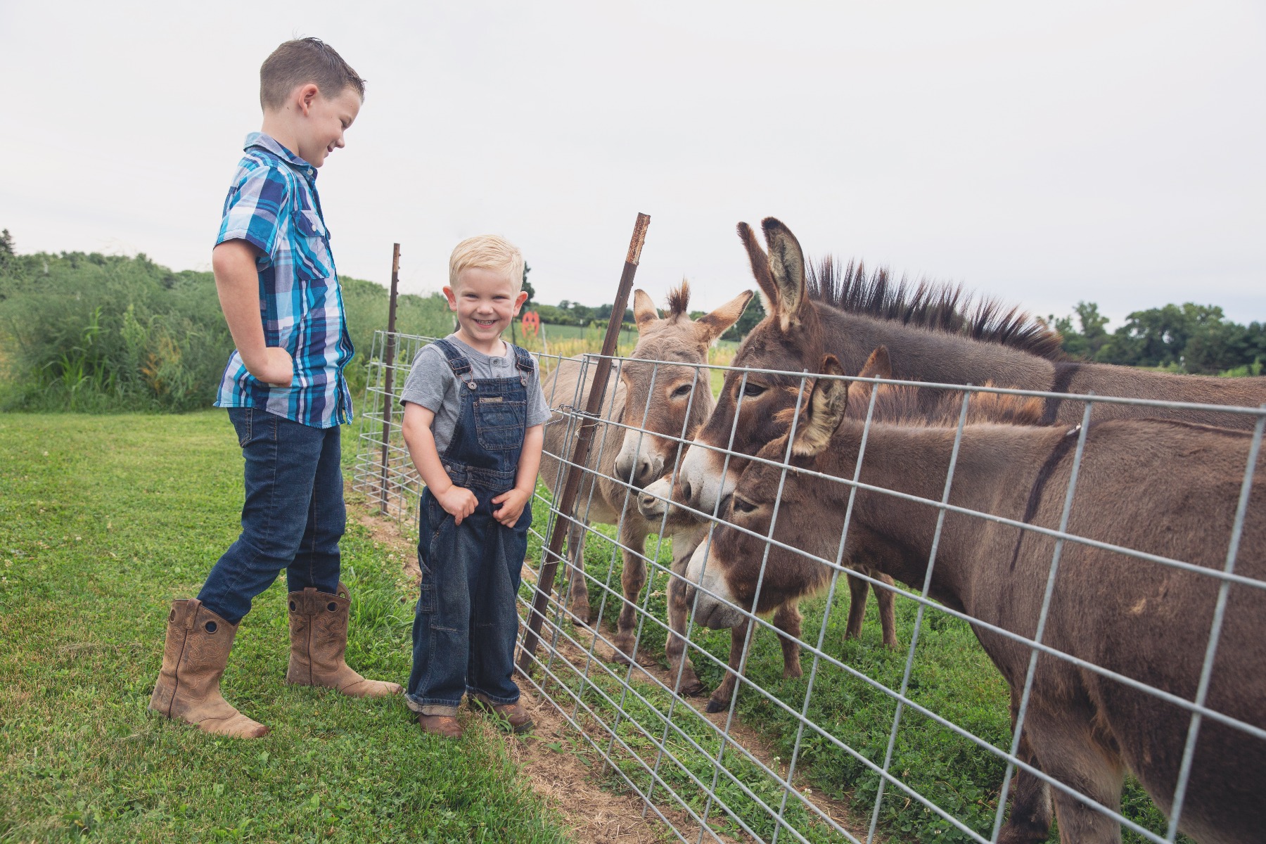 two boys in denim smiles along side donkeys on a farm