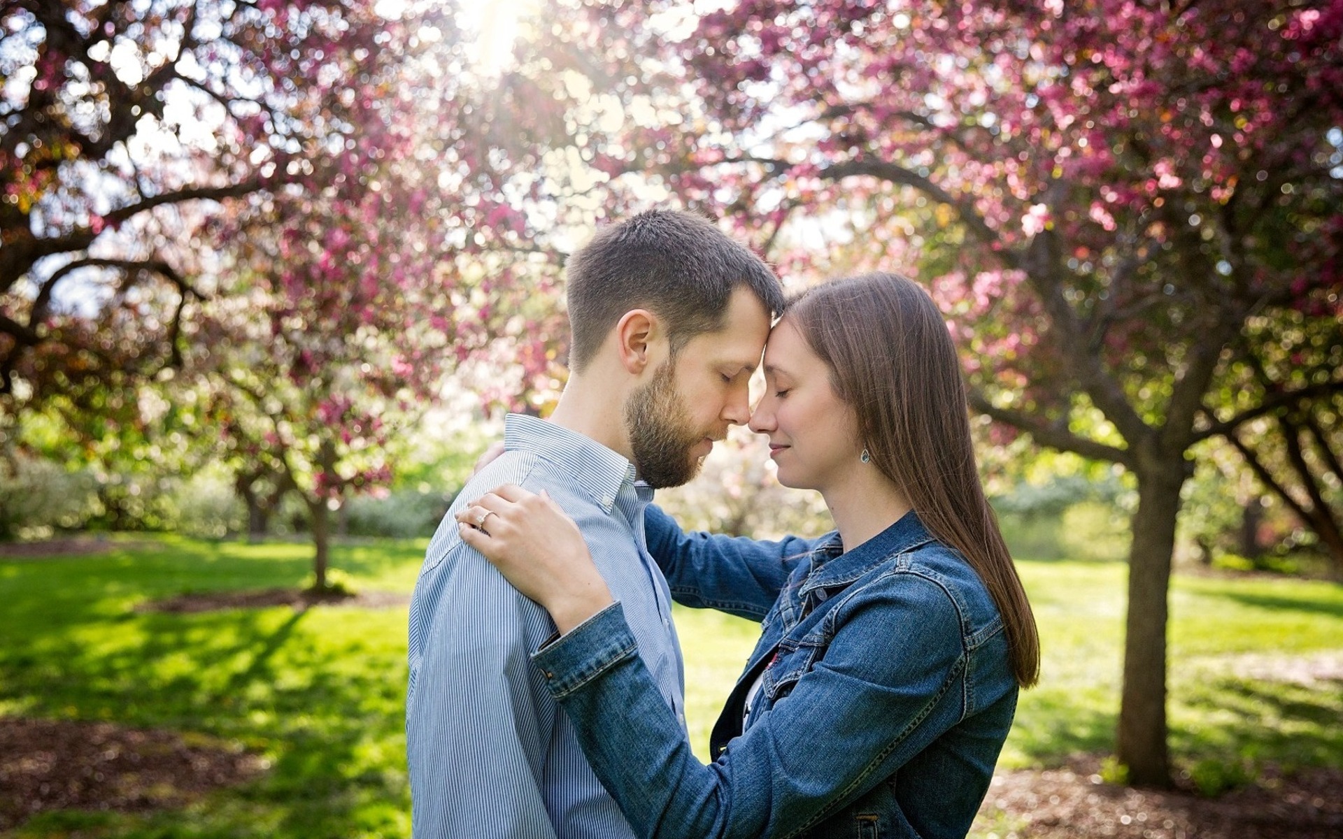 couple lean forehead to forehead amongst a field of pink cherry trees