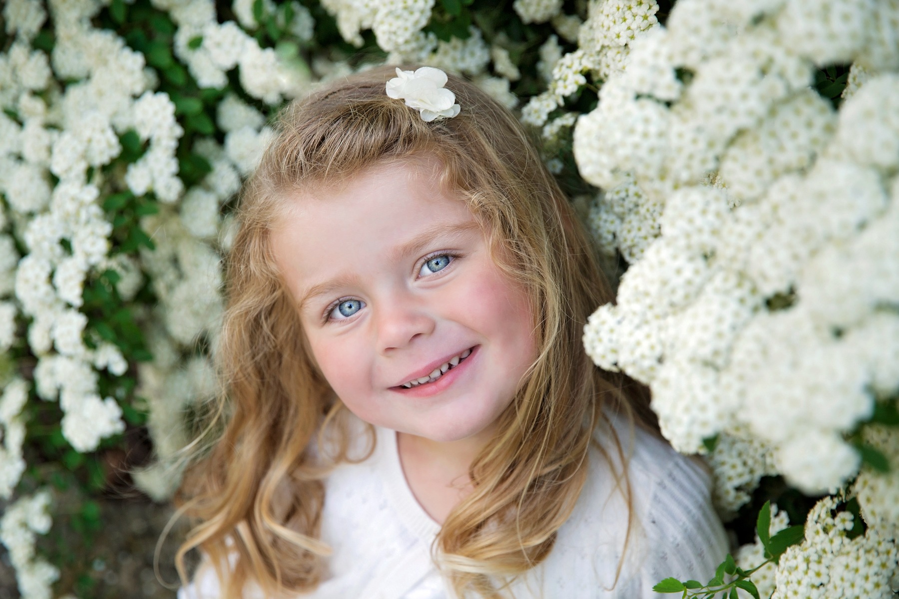 blond toddler smiles in front of white flowering bush