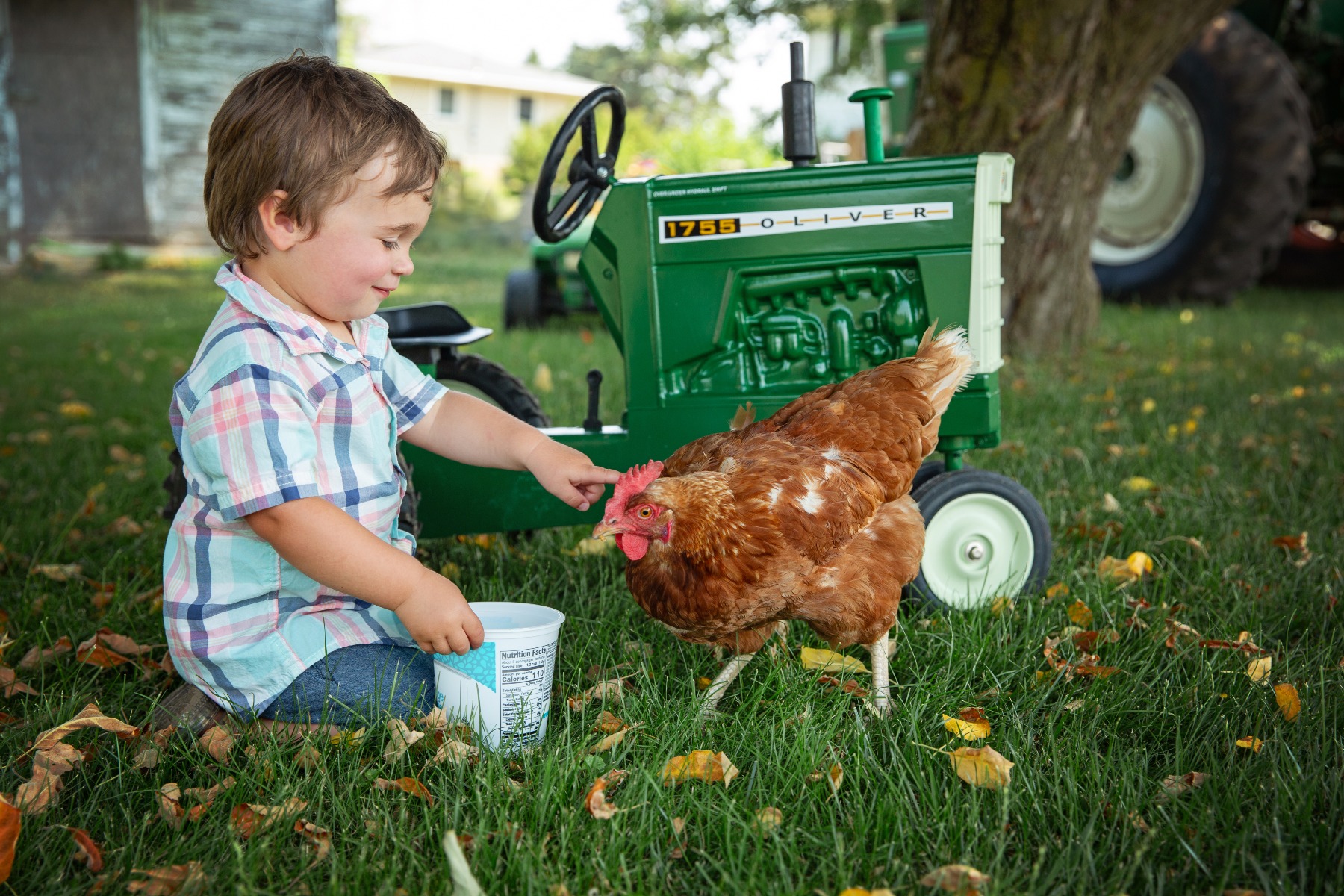 toddler boy sits in front of a green pedal tractor with his chicken