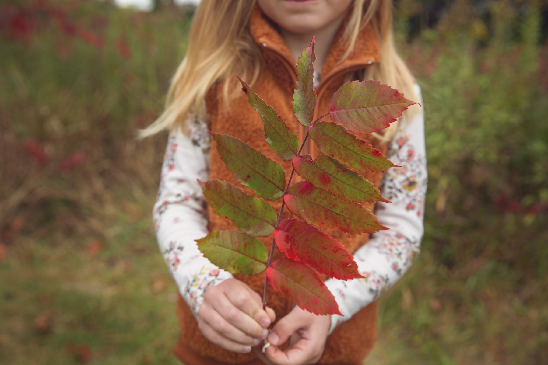 close up of fall sumac in the hands of a young girl