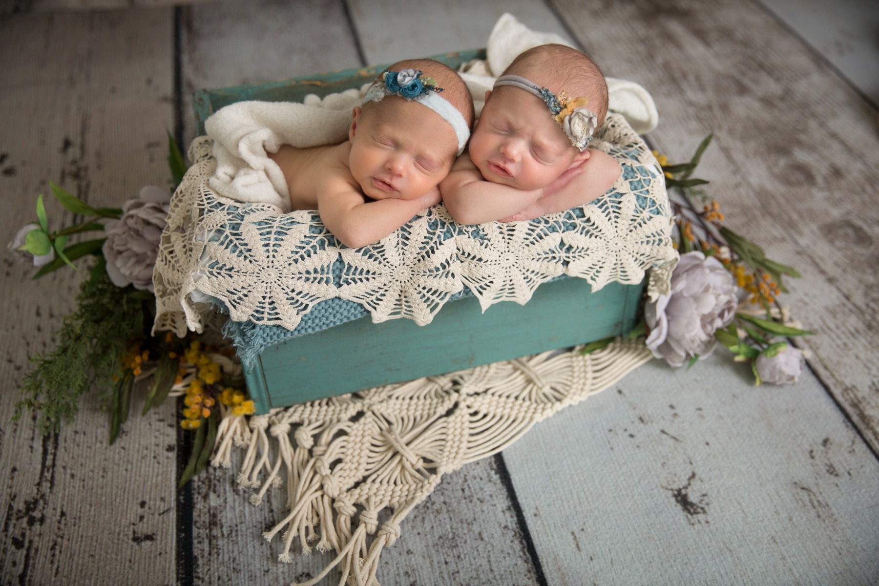 newborn twins in a blue box surrounded by flowers