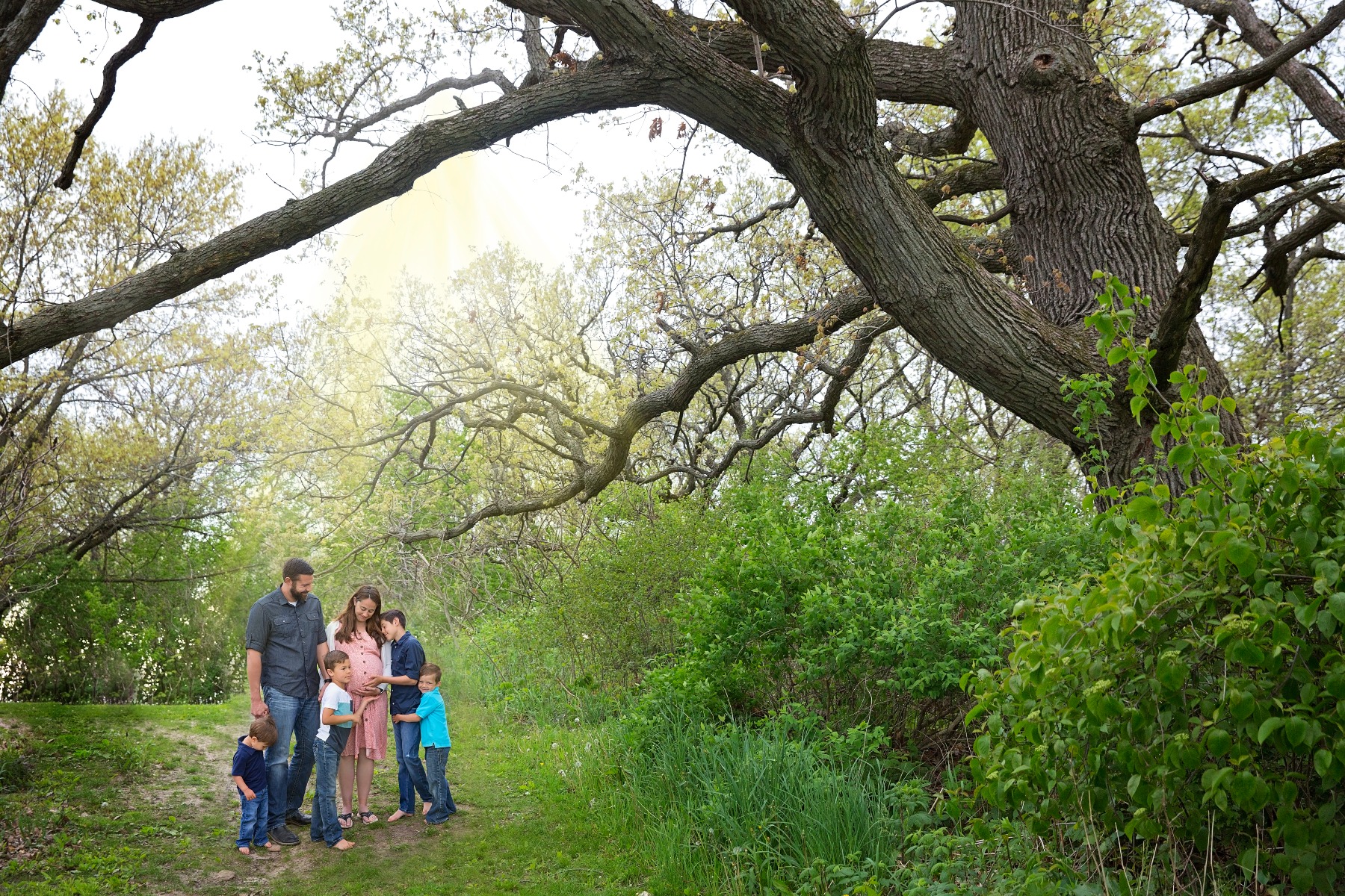 expectant mom, dad and four boys stand beneath a large tree