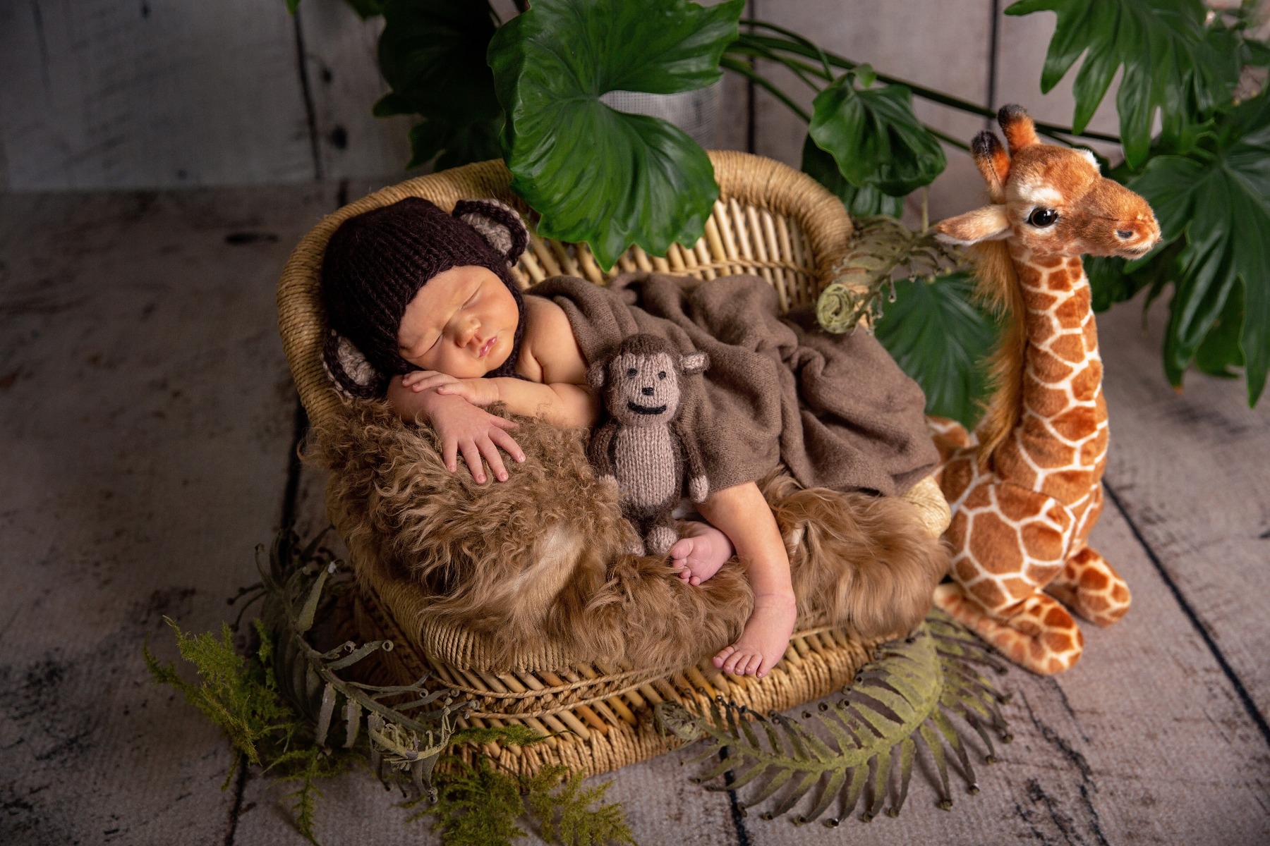 newborn baby in a monkey hat with his jungle stuffed animals