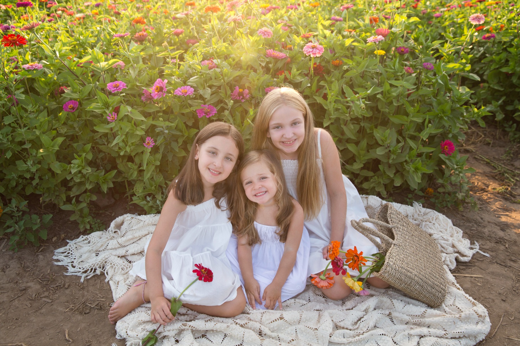 three sisters in white in a zinnia flower field