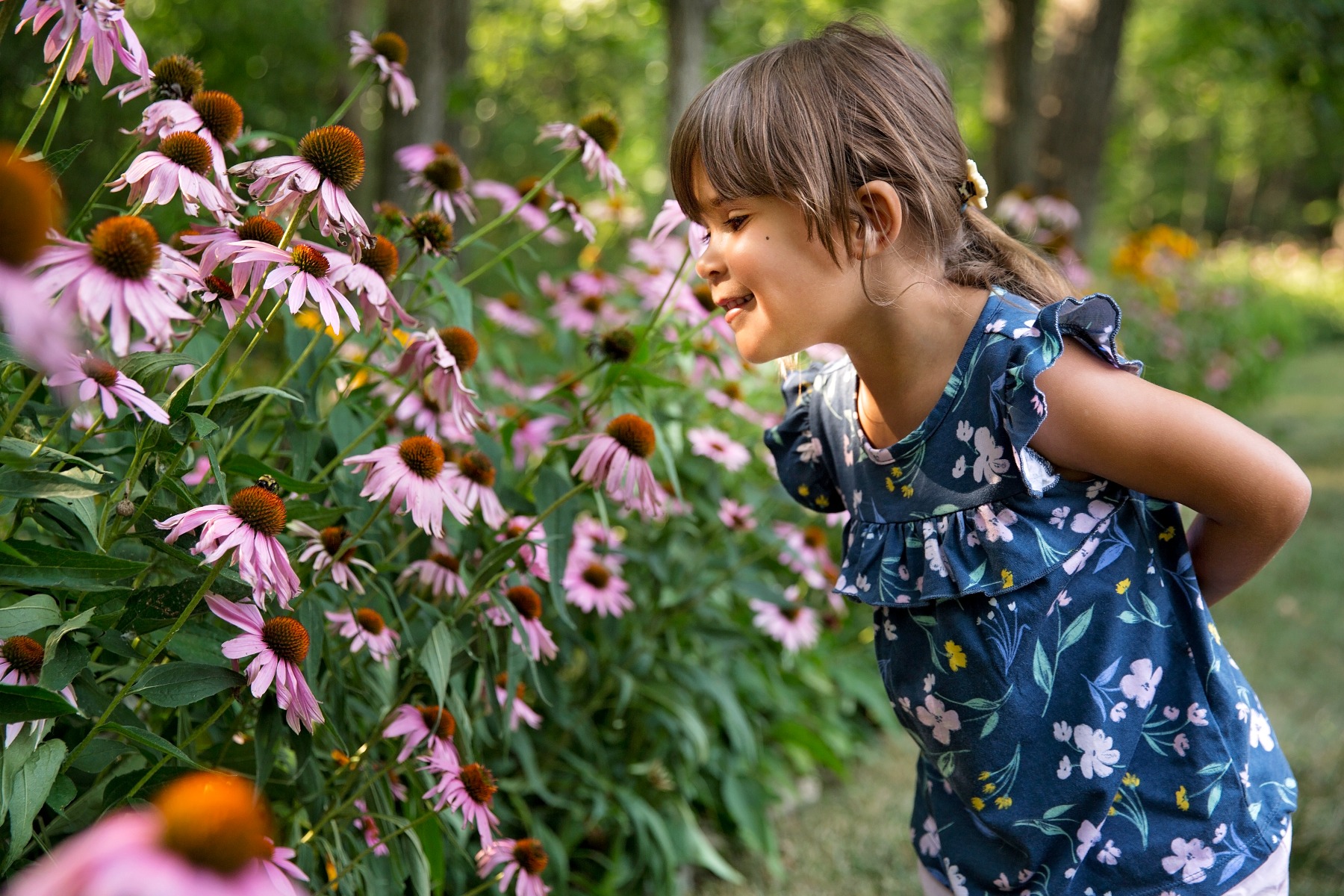little girl admires a field of cone flowers
